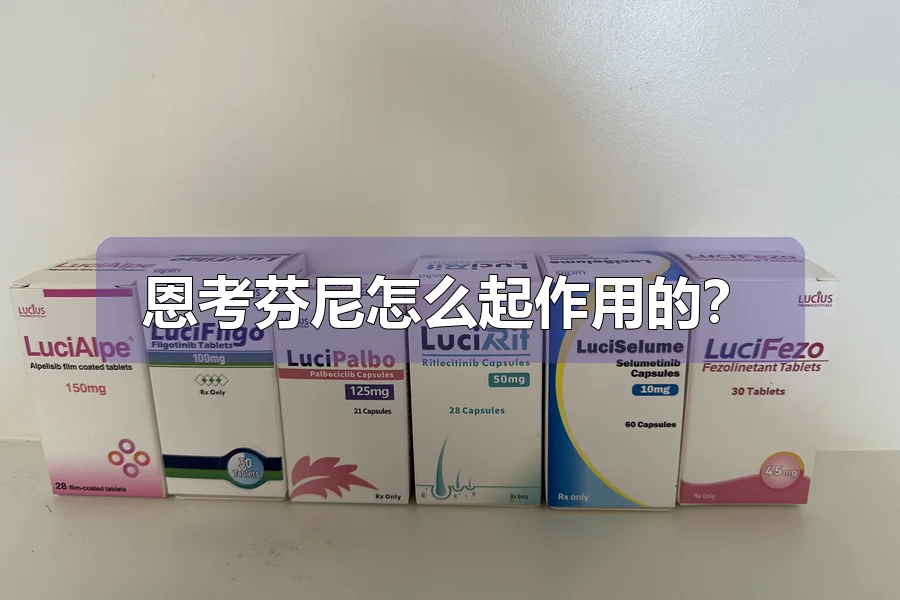 恩考芬尼怎么起作用的？